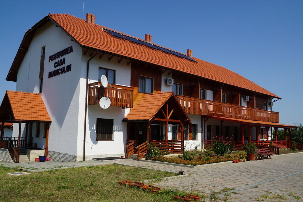 Pensiunea Casa Bunicului Mociu Zewnętrze zdjęcie