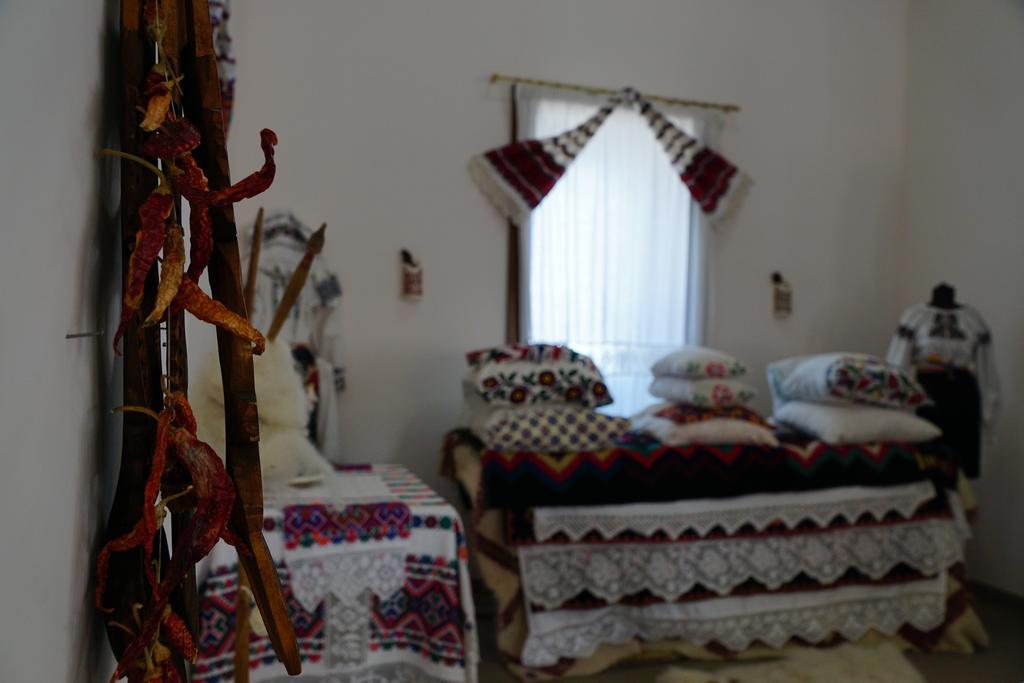 Pensiunea Casa Bunicului Mociu Zewnętrze zdjęcie